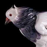 19TH CENTURY MEISSEN PAINTED PORCELAIN MODEL OF A PIGEON - REF No. B1004