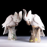 PAIR OF 19TH CENTURY MEISSEN PAINTED PORCELAIN MODELS OF FEMALE COCKATOOS - REF No. B1005