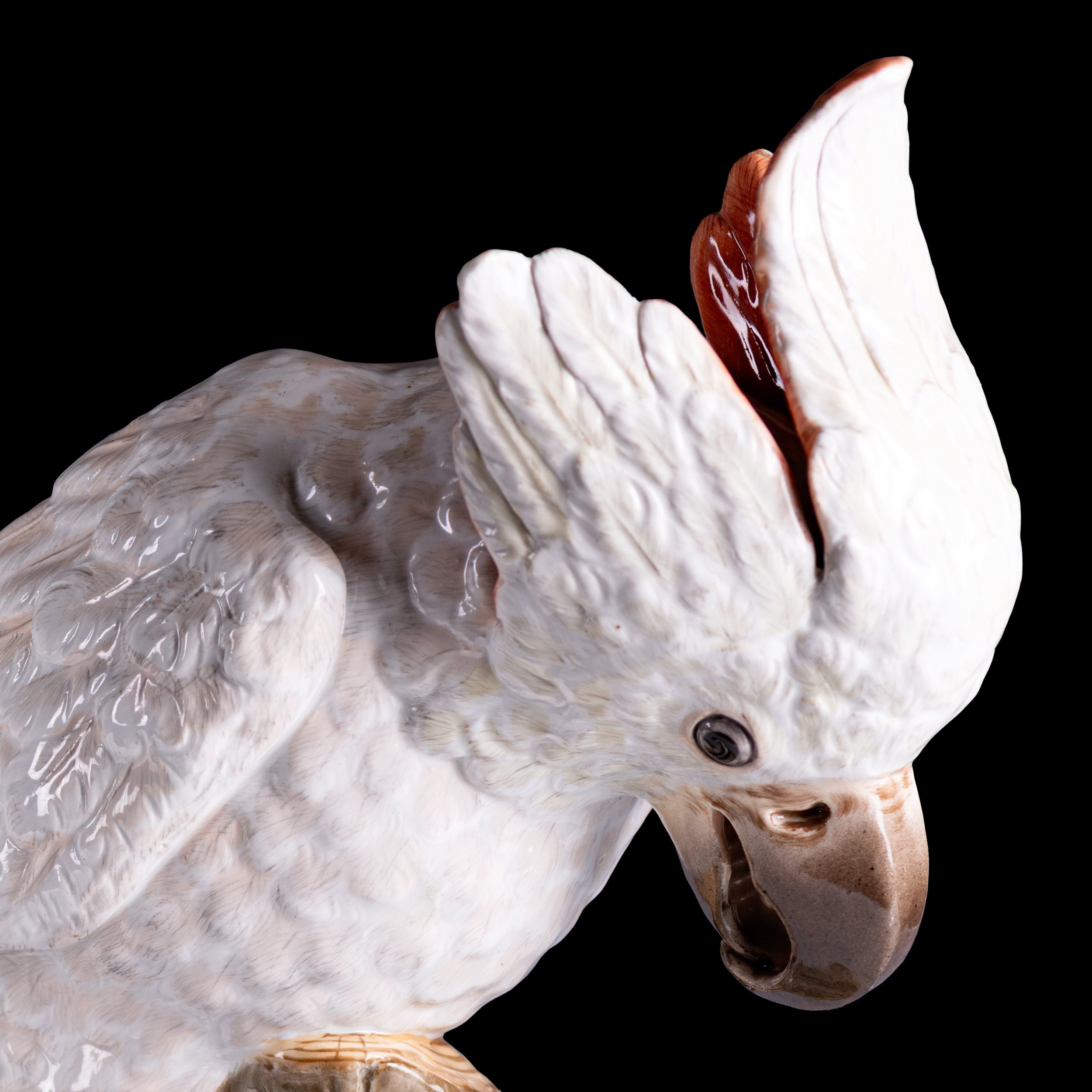 PAIR OF 19TH CENTURY MEISSEN PAINTED PORCELAIN MODELS OF FEMALE COCKATOOS - REF No. B1005