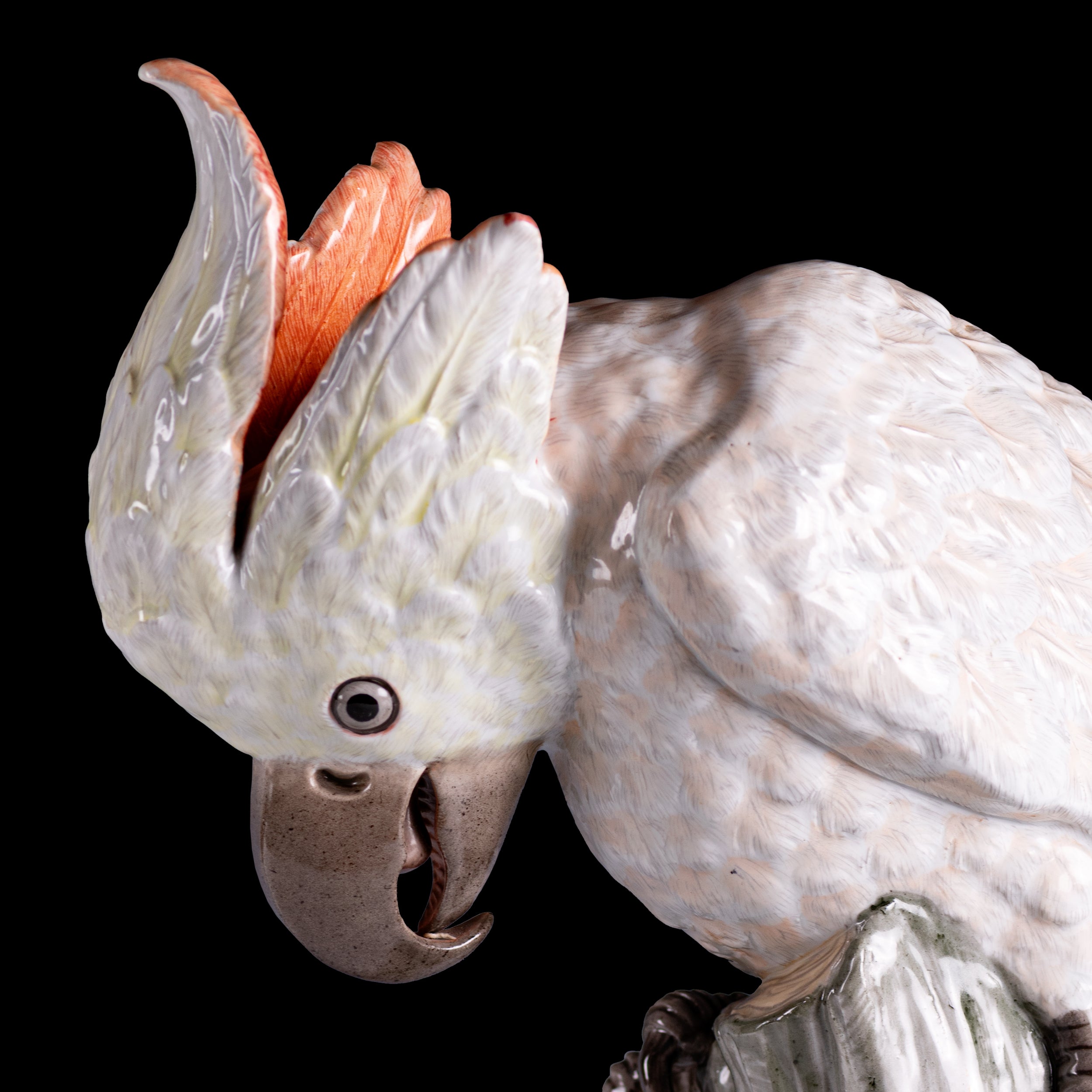 PAIR OF 19TH CENTURY MEISSEN PAINTED PORCELAIN MODELS OF FEMALE COCKATOOS - REF No. B1005