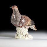 18TH CENTURY MEISSEN FINELY PAINTED PORCELAIN MODEL OF A GREY PARTRIDGE - REF No. B1006