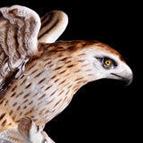 PAIR OF EARLY 20TH CENTURY GERMAN PORCELAIN MODELS OF EAGLES - REF No. B1017