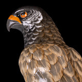 A COLOURFUL SITZENDORF PAINTED PORCELAIN MODLE OF AN EAGLE - REF No. B1010