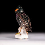 19TH CENTURY MEISSEN PAINTED PORCELAIN FIGURE OF A STARLING - REF No. B1009
