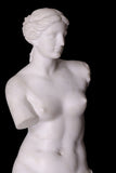 A STUNNING LATE 19TH CENTURY STATUE OF THE VENUS DE MILO - REF No. 1065