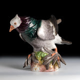 19TH CENTURY MEISSEN PORCELAIN MODEL OF A PIGEON - REF No. B1001