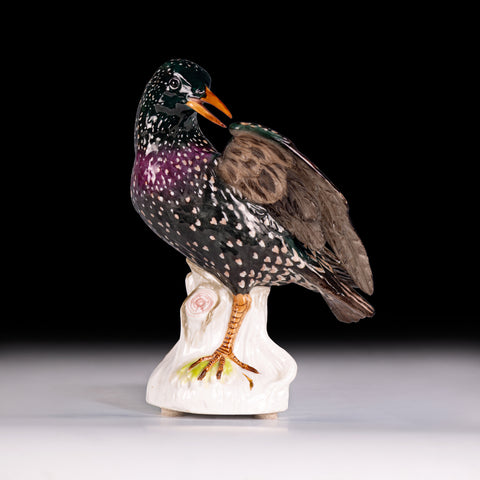 19TH CENTURY MEISSEN PORCELAIN MODEL OF A PIGEON - REF No. B1001