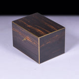 A STUNNING 19TH CENTURY LADY`S VANITY BOX - REF No. 168